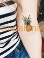 Tatuaż tymczasowy naklejany Pineapples 2szt Paperself