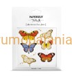 Tatuaż tymczasowy Butterflies Paperself