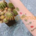 Tatuaż naklejka wodna tymczasowa Cactus 2