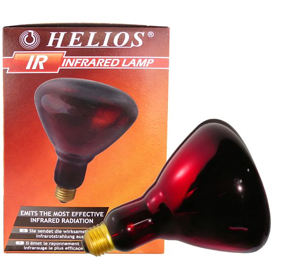 Żarówka lampa podczerwieni Helios Rubin IR-1 150W E27